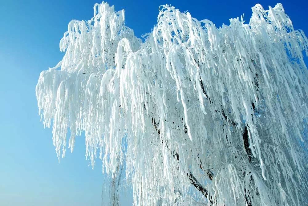 吉林,北国风光与文化交融的璀璨瑰宝