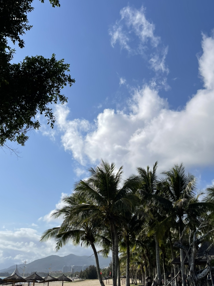 海南热带天堂，邀您共赴度假之旅🌴🌴🌴