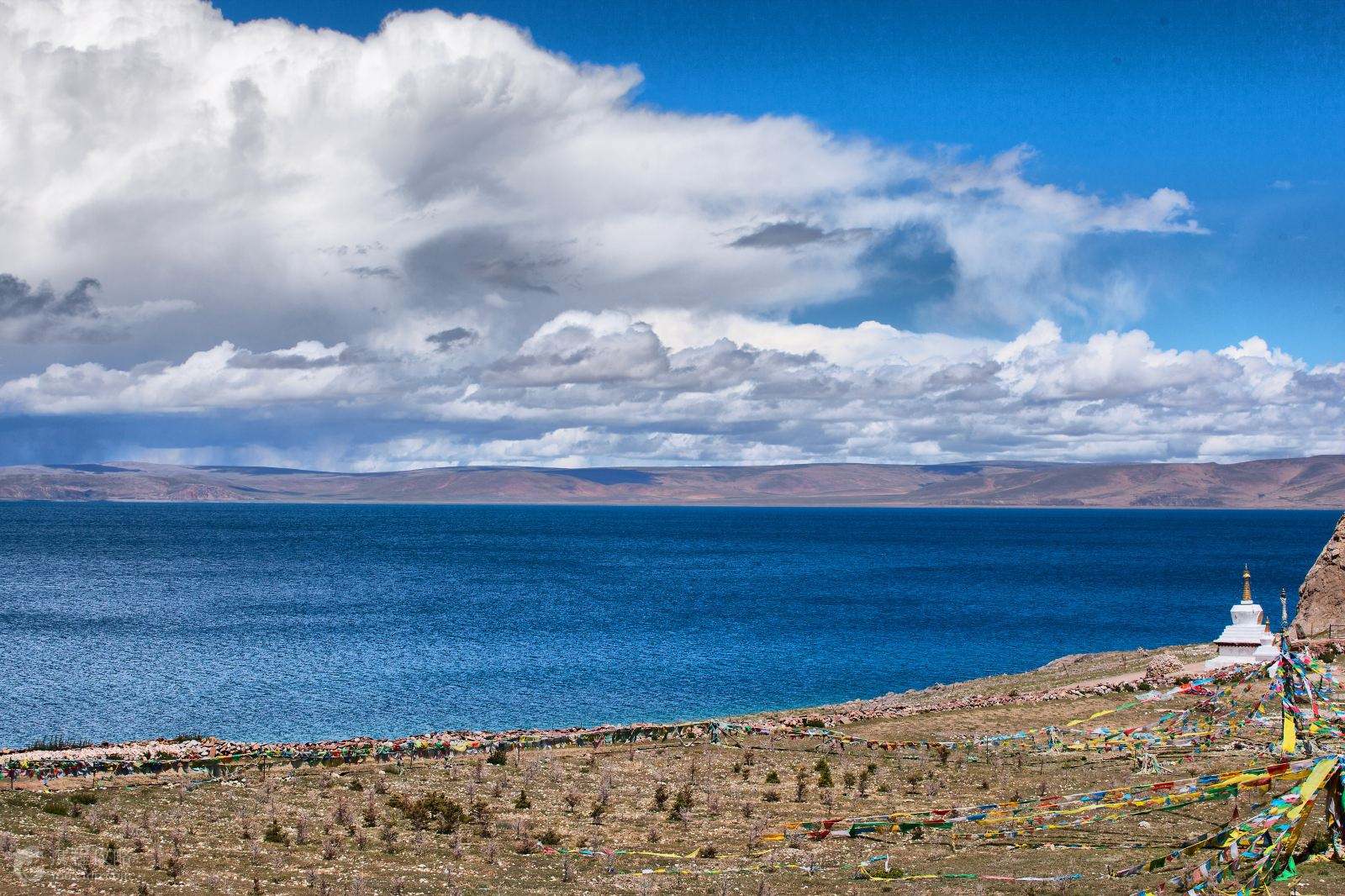 西藏，心灵净土的播音稿篇章