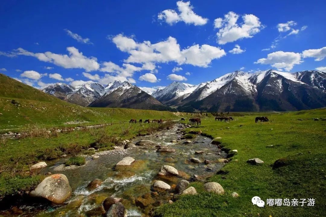 探寻新疆,神秘大地的魅力探险之旅